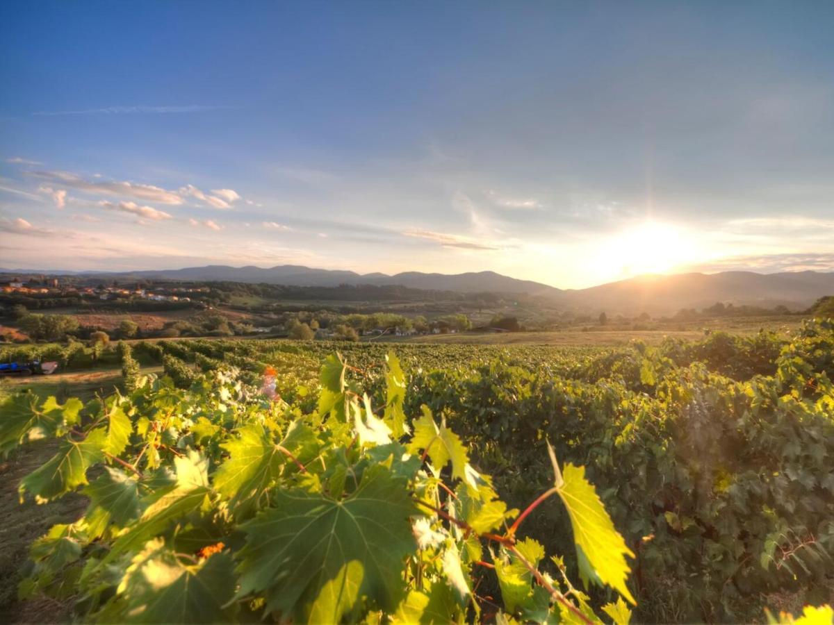 Fattoria Casagrande Villa Rignano sullʼArno Exterior foto